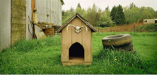 FF生父坂口博信祝贺FF16登PC 意外曝光Steam库存丰富